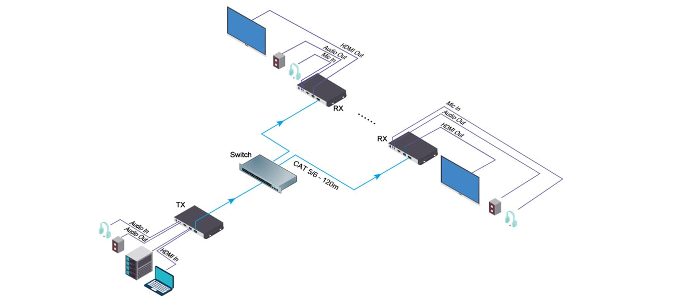 Point to Multi-point Transmission