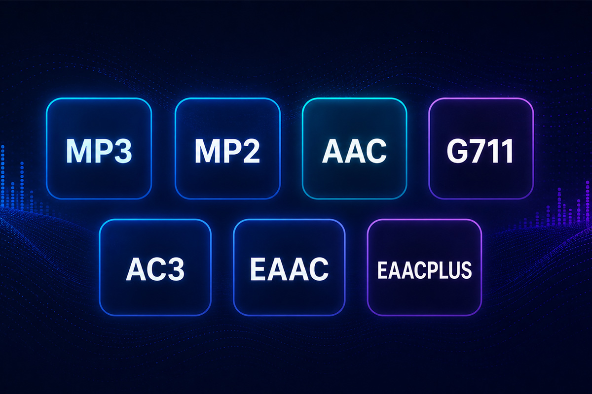 <span style='color:#333333;'><strong>Flexibilidad de codificaci&oacute;n y incorporaci&oacute;n de audio profesional</strong></span>